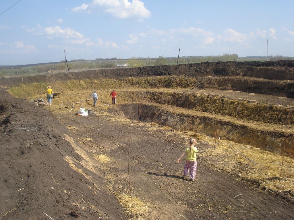 Кратерный сад Зеппа Хольцера Kraternyy sad Zeppa Kholtsera_среда обитания Кратерный сад Зеппа Хольцера Kraternyy sad Zeppa Kholtsera_среда обитания