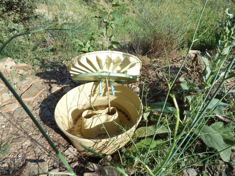 борьба с опустыниванием borba s opustynivaniyem-waterboxx борьба с опустыниванием borba s opustynivaniyem-waterboxx